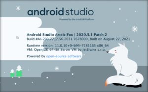 androidstudio-arctic-fox